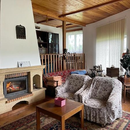 Вилла Casa Adelina Valea Lunga-Cricov Экстерьер фото
