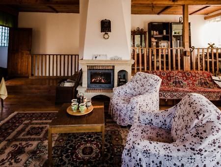 Вилла Casa Adelina Valea Lunga-Cricov Экстерьер фото