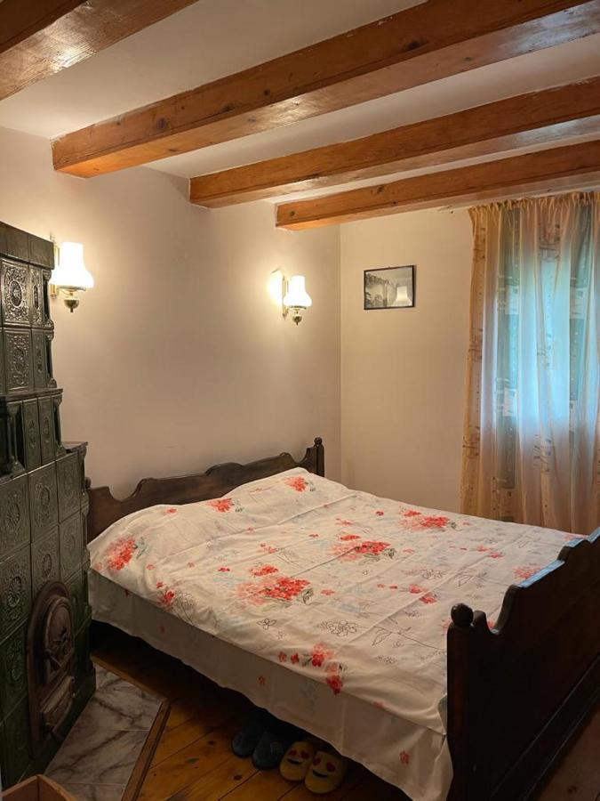 Вилла Casa Adelina Valea Lunga-Cricov Экстерьер фото