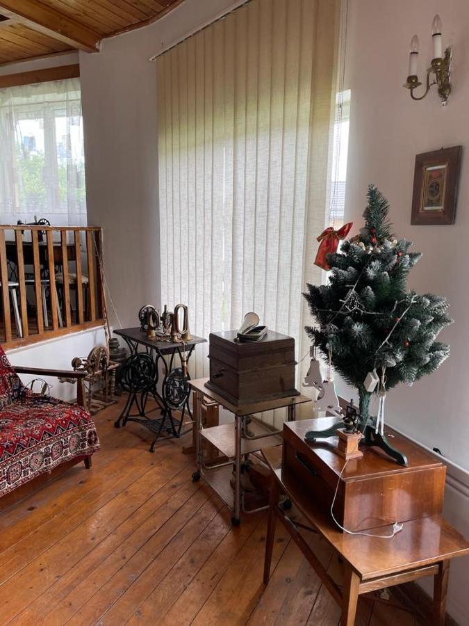 Вилла Casa Adelina Valea Lunga-Cricov Экстерьер фото