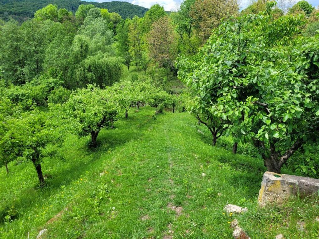 Вилла Casa Adelina Valea Lunga-Cricov Экстерьер фото