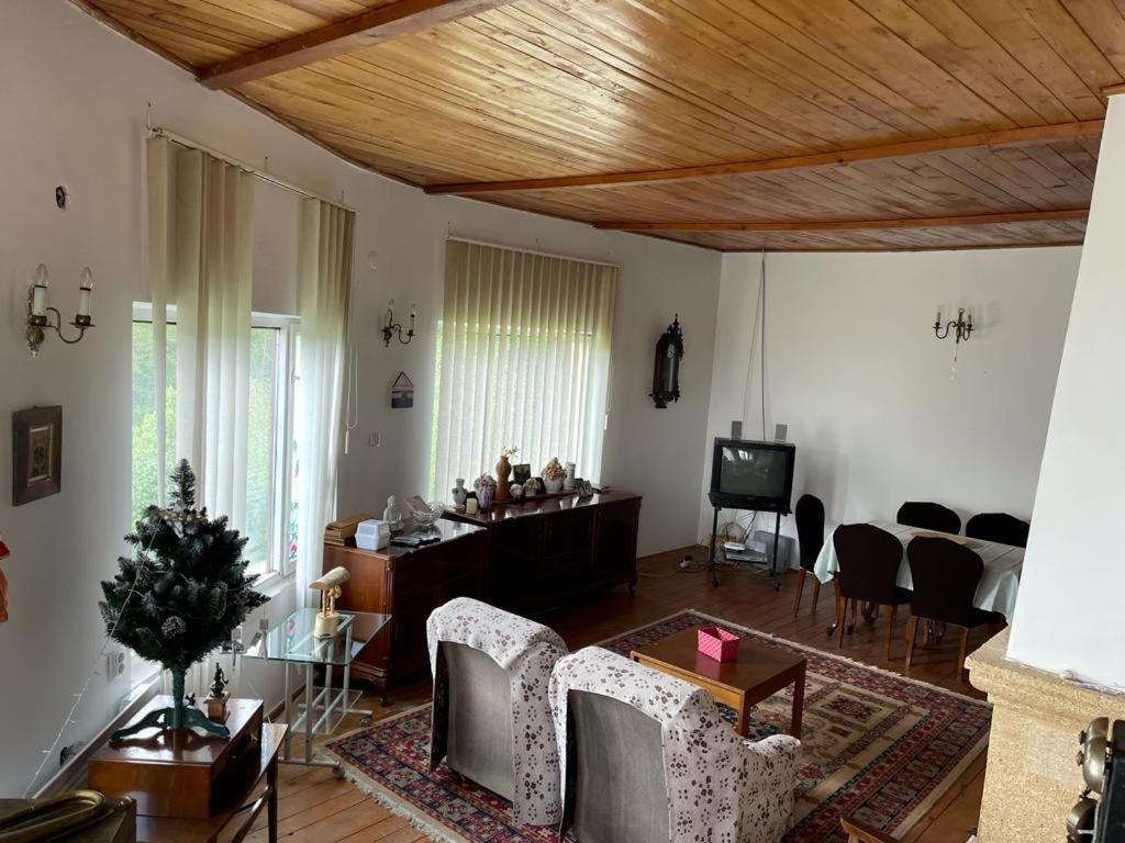 Вилла Casa Adelina Valea Lunga-Cricov Экстерьер фото