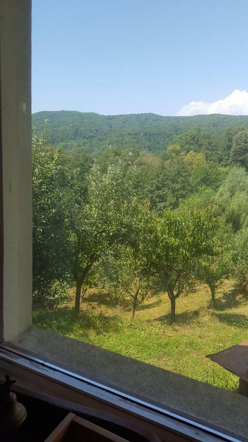 Вилла Casa Adelina Valea Lunga-Cricov Экстерьер фото